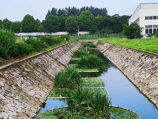 芜湖市经开区2017年黑臭水体治理及维护