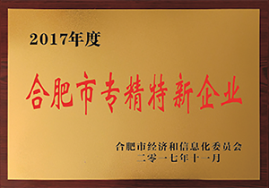 2017年度合肥市专精特新企业